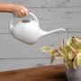 Indoor Watering Can – Pearl – 0.5 gal